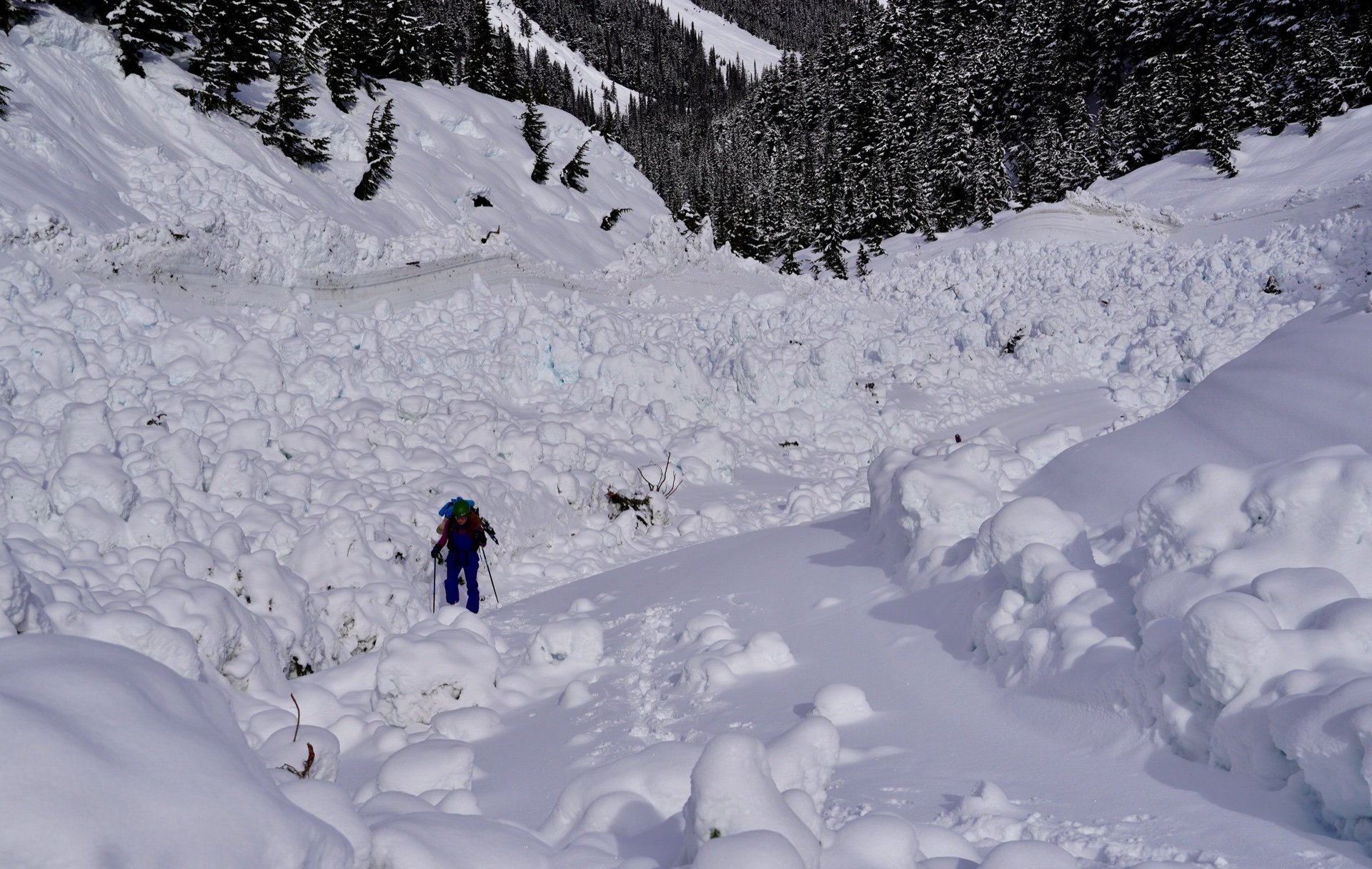 asulkan_rogers_pass - 7.jpg